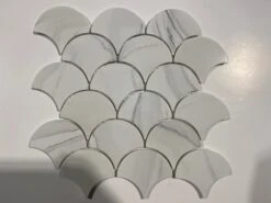 Portobello Dove Scallop