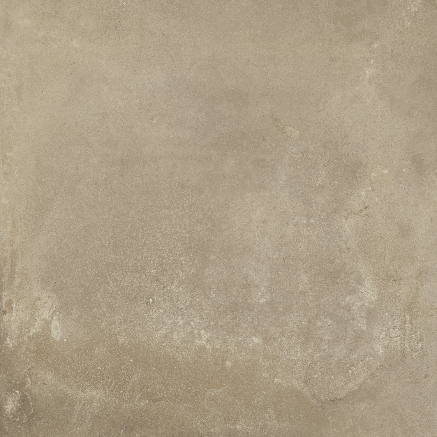 Fusion Tortora -Default Template 6 Tortora Square scaled